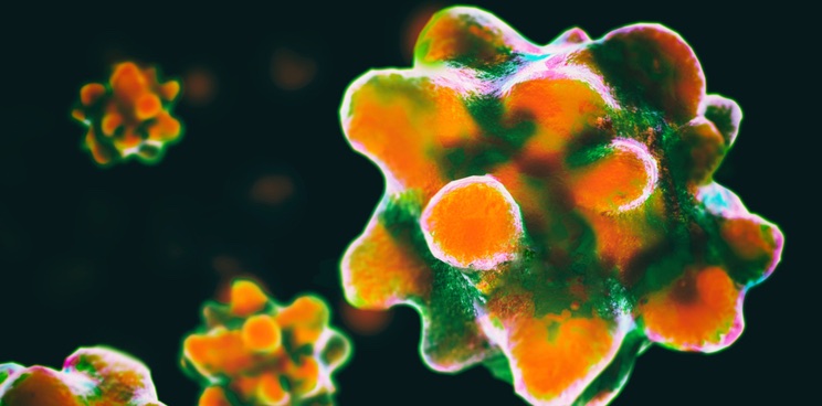 Themis and Institut Pasteur Join Coronavirus Vaccine Hunt
