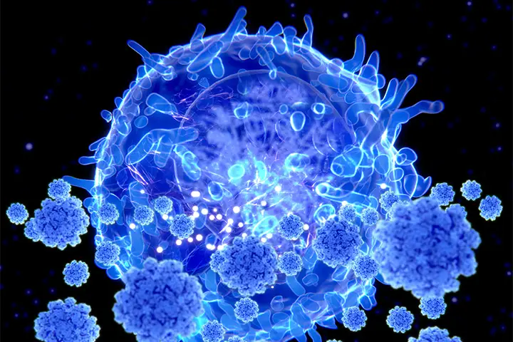 Step Pharma Announces First Patient Dosed with STP938, the World’s Most  Advanced CTPS1 Inhibitor, in a Phase 1/2 Trial for T cell and B cell lymphomas