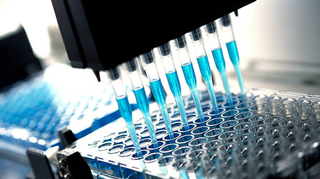 Ribbon Biolabs raises EUR 18 million in its Series A financing