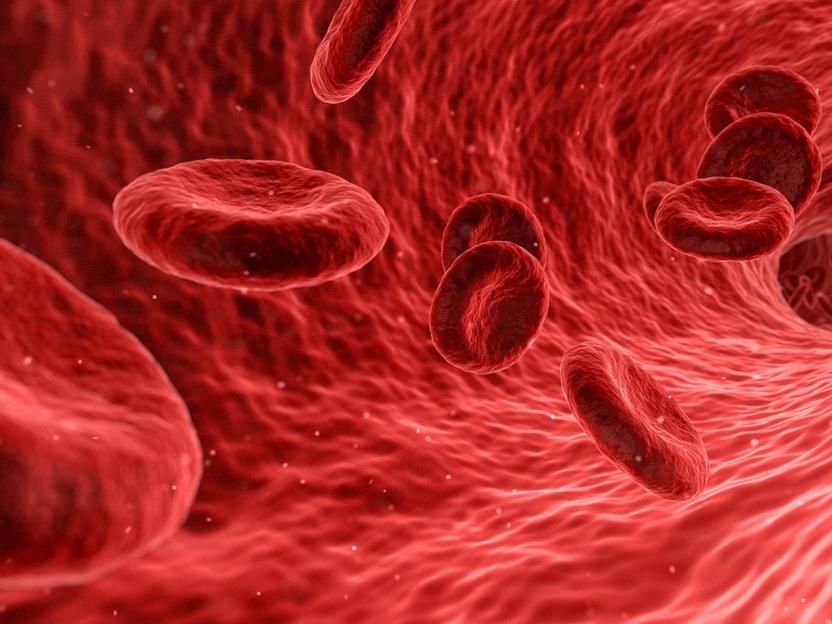 TargED Biopharmaceuticals raises EUR 39 Million in Series A financing