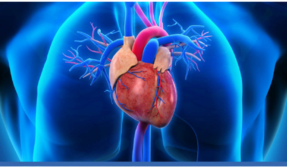 Attgeno announces approval of initiation of Phase 2 clinical trial of Supernitro in patients with acute pulmonary hypertension