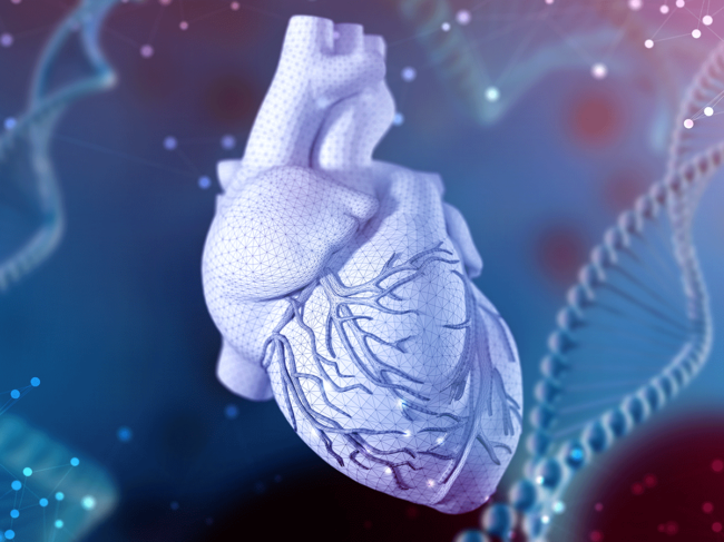 Cardior Announces First Patient Dosed in Phase 2 Study